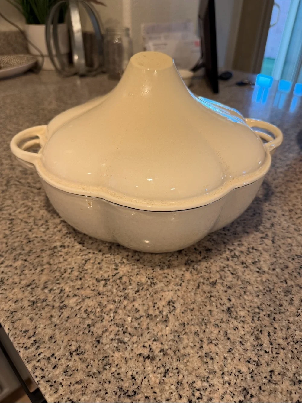 Real techniques, cast-iron, and ceramic white pumpkin Dutch oven